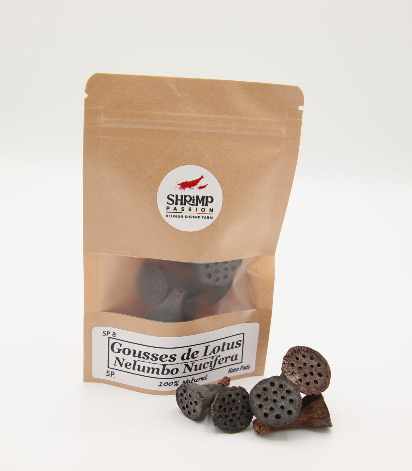 Gousses de Lotus 2-3cm Nano Pods (5p)