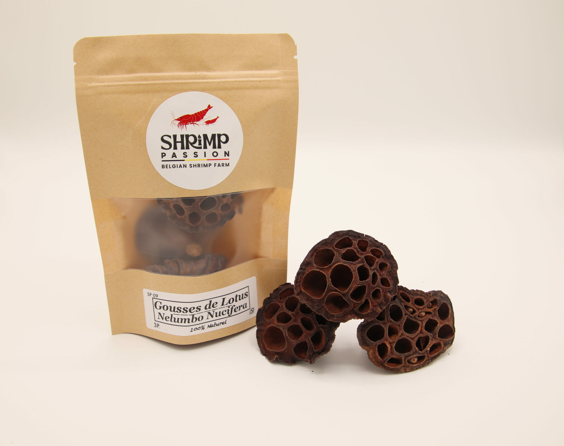 Gousses de Lotus 4-6cm (3p)