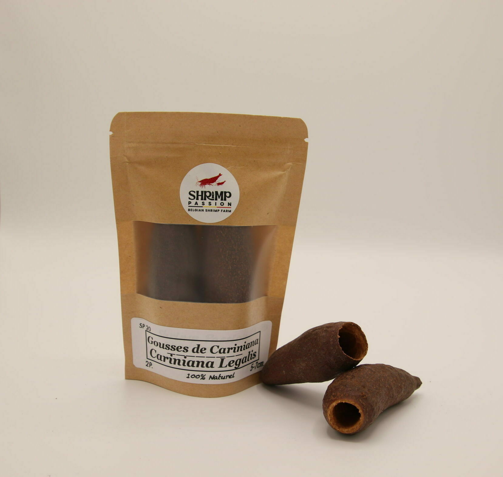 Gousses de Cariniana 5-7cm (2p)