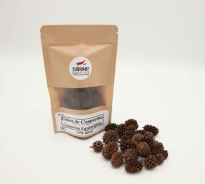 Cônes de Casuarina (25g)