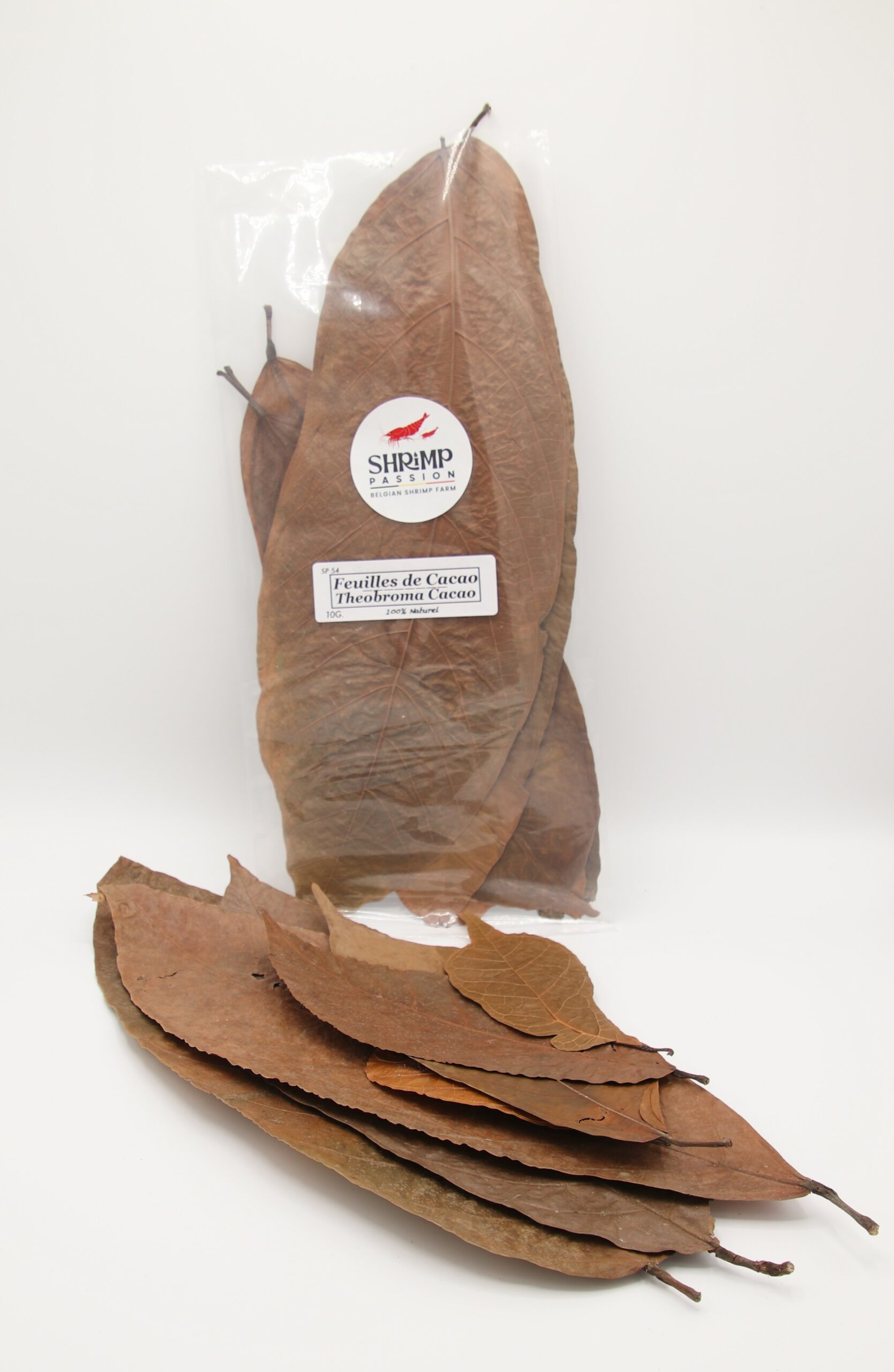 Feuilles de Cacao (10g)