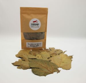 Feuilles de Mûres (10g)