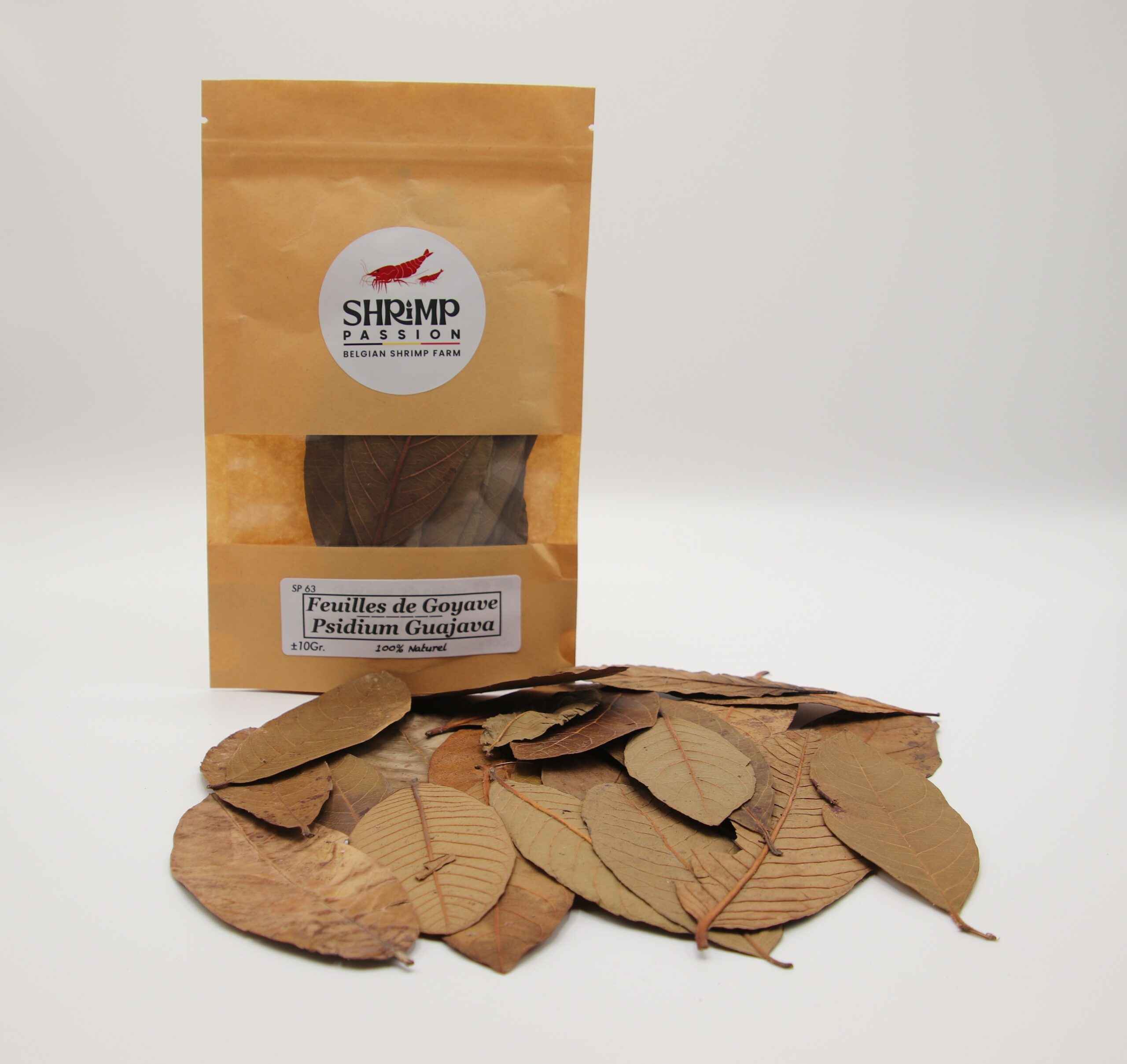 Feuilles de Goyave (10g)