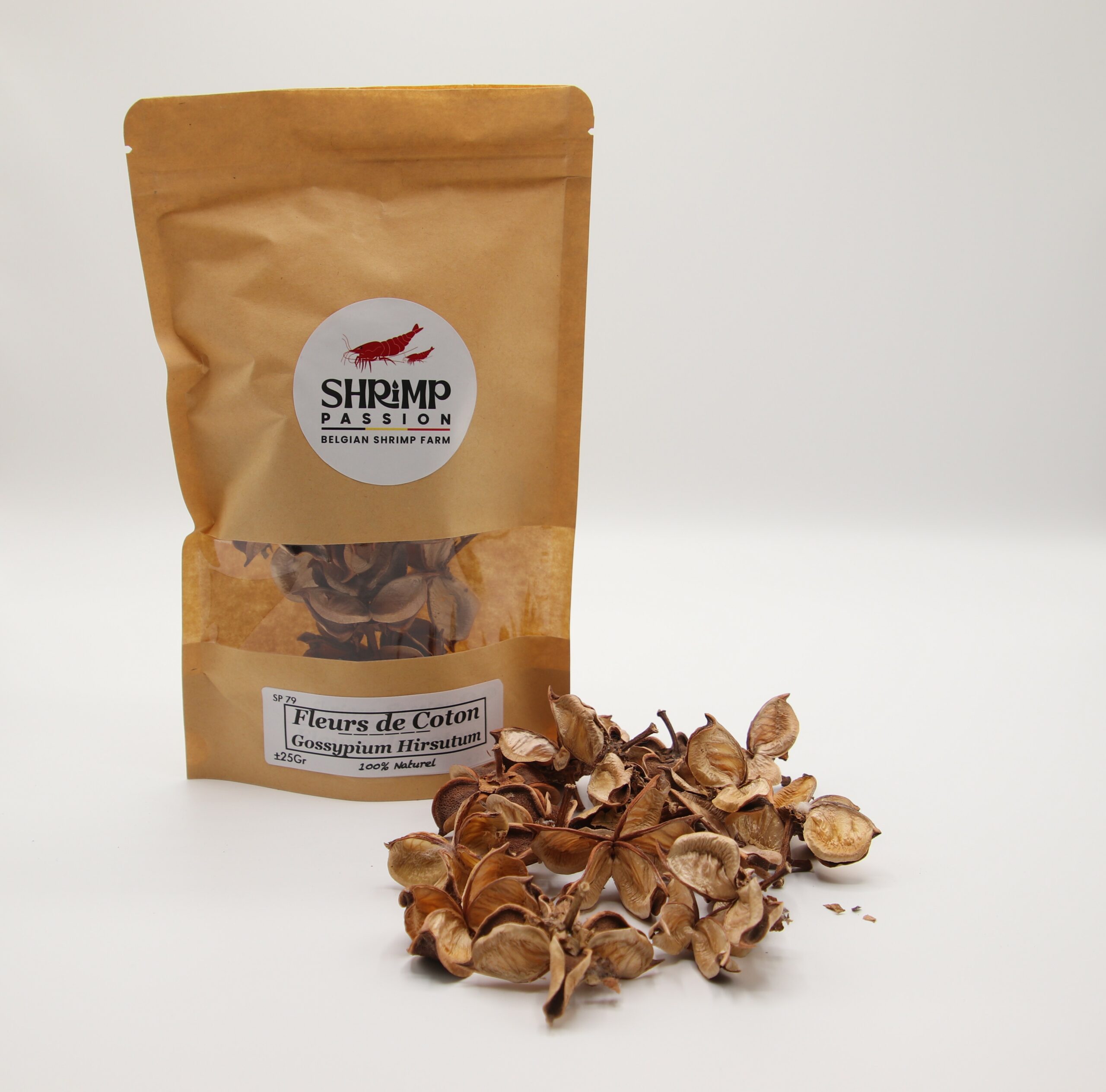 Cosses de Coton (25g)