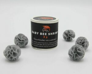 Baby Bee Shrimp  - Gioia