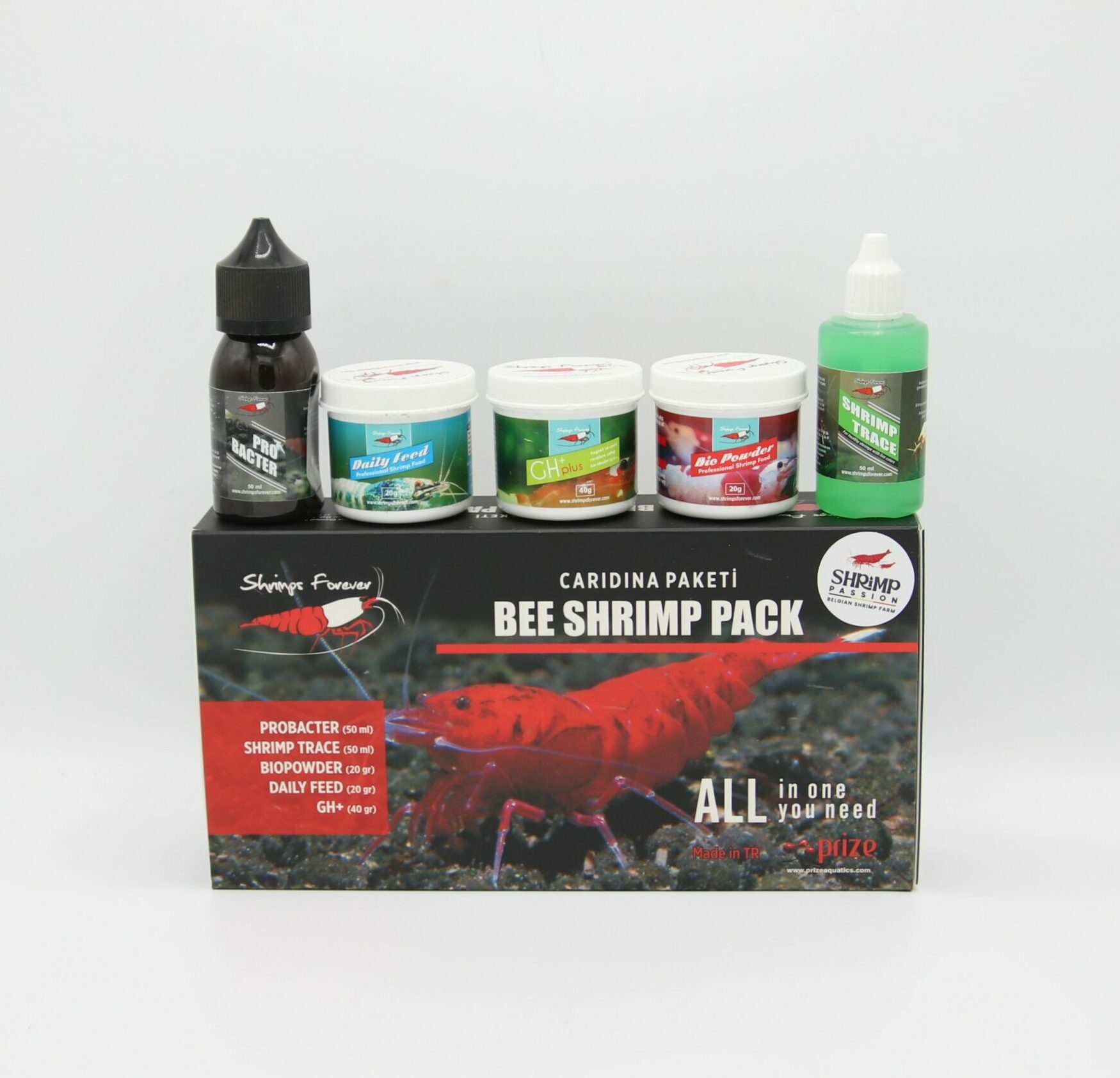 Bee Shrimp Pack Caridina - Shrimps Forever