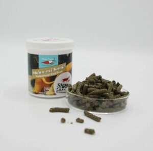 Batônnets Pour Escargots Du Sulawesi - Shrimps Forever