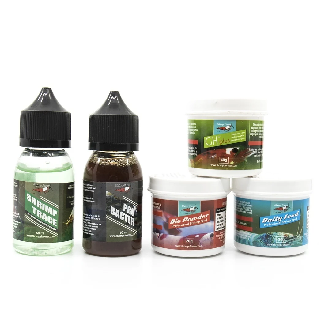 Bee Shrimp Pack Caridina - Shrimps Forever – Image 2
