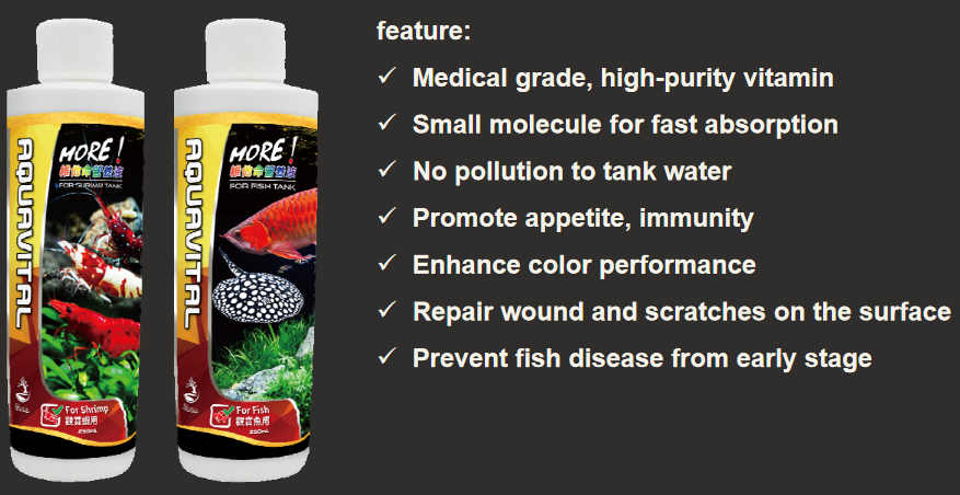 Aquavital - SL-Aqua – Image 2