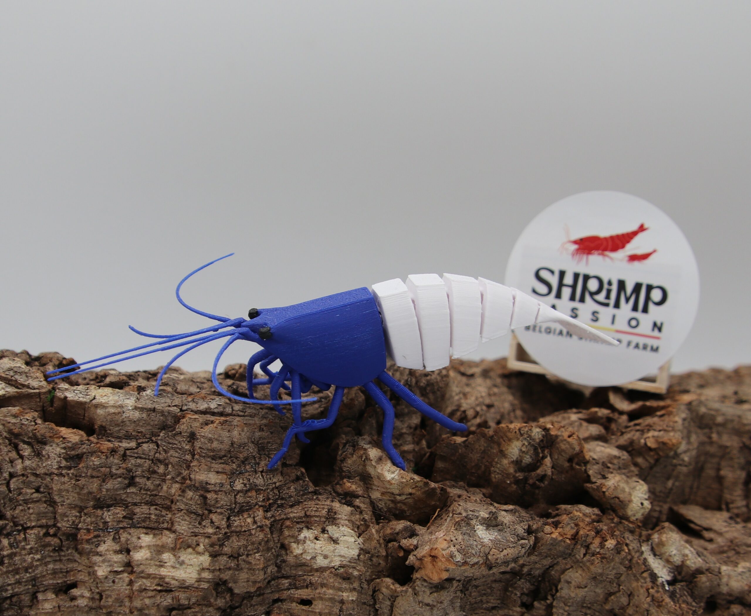 3D - Blue Bolt – Image 2