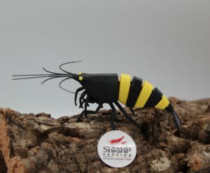 3D - Black Yellow Bee