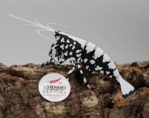 3D Deluxe - Black Snowflake