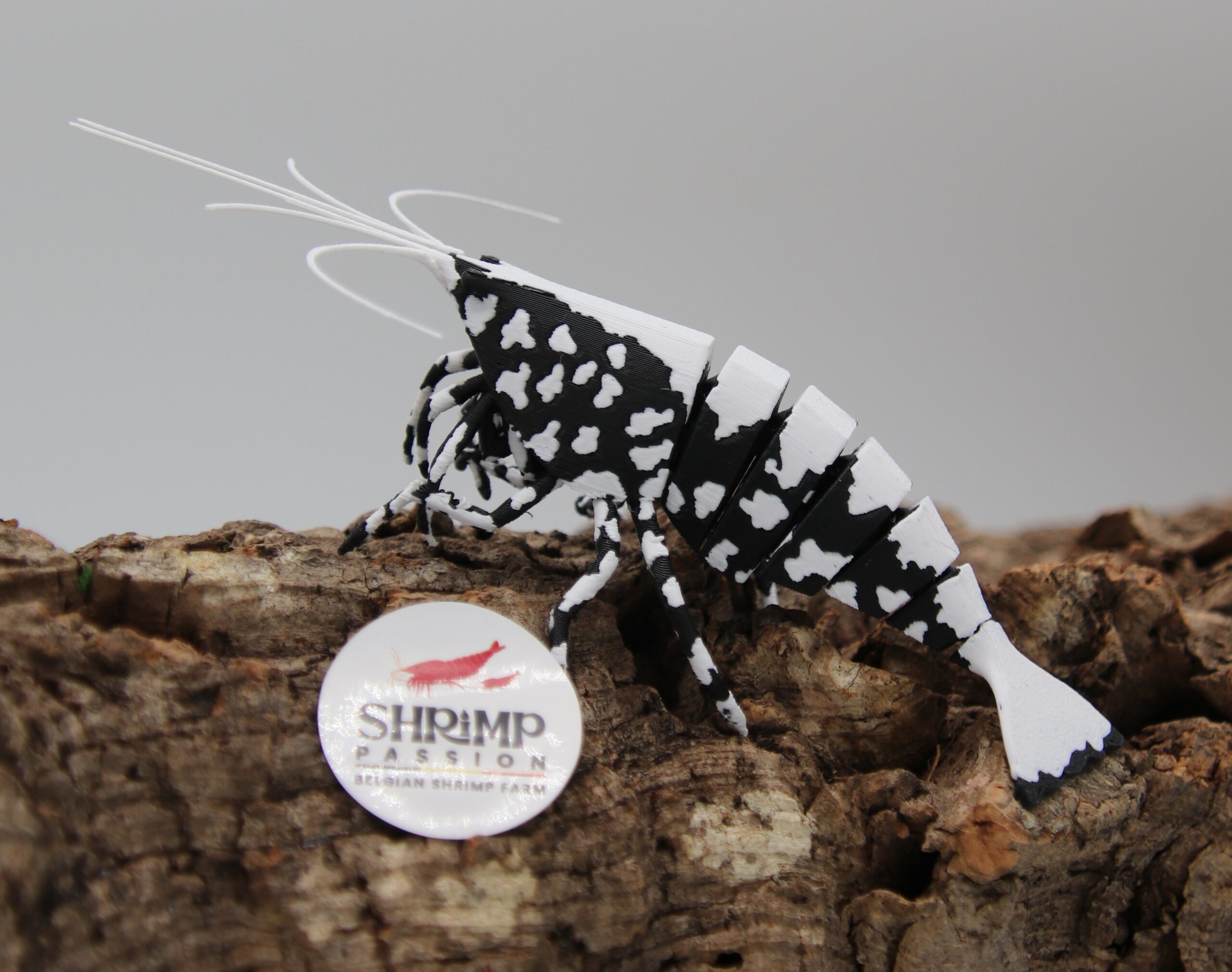 3D Deluxe - Black Snowflake