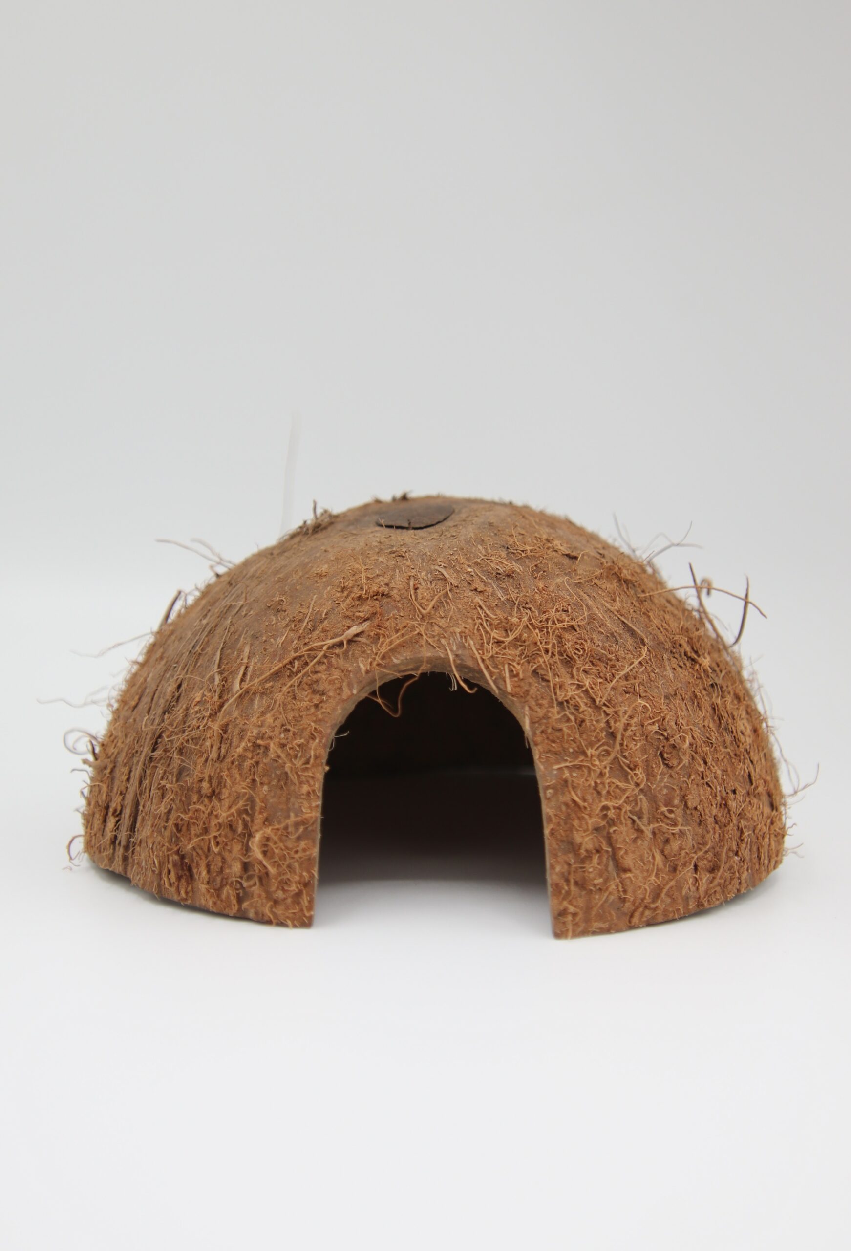 Demis Noix De Coco Avec Trou Latéral