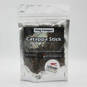 Bâtonnets De Catappa - Tantora