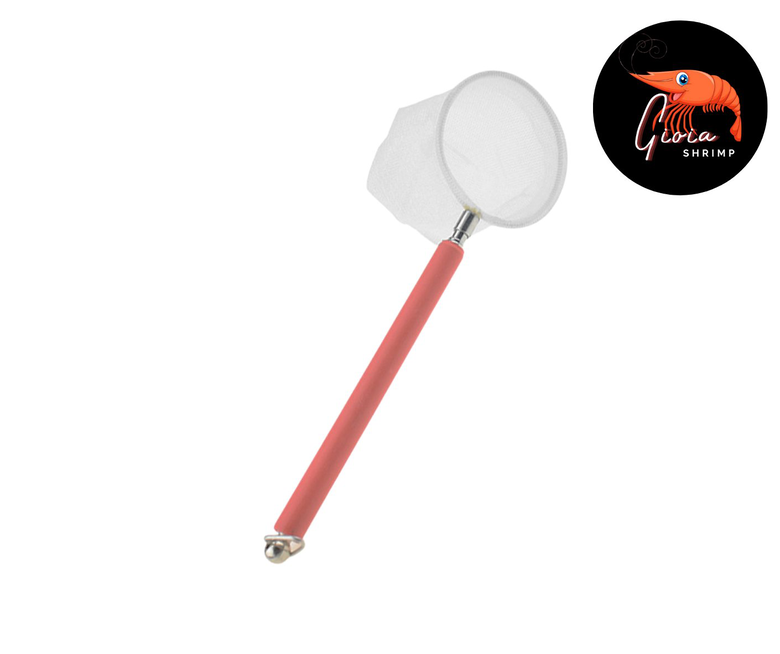 Epuisette Réglable pour Crevette - Gioia