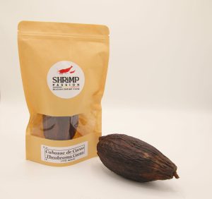 Cabosse de Cacao entière (1p)