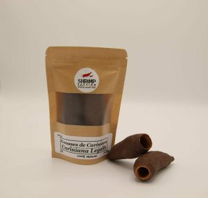 Gousses de Cariniana 5-7cm (2p)