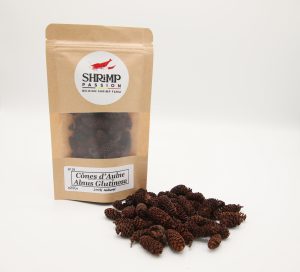 Cônes d'Aulne (25gr/50gr)