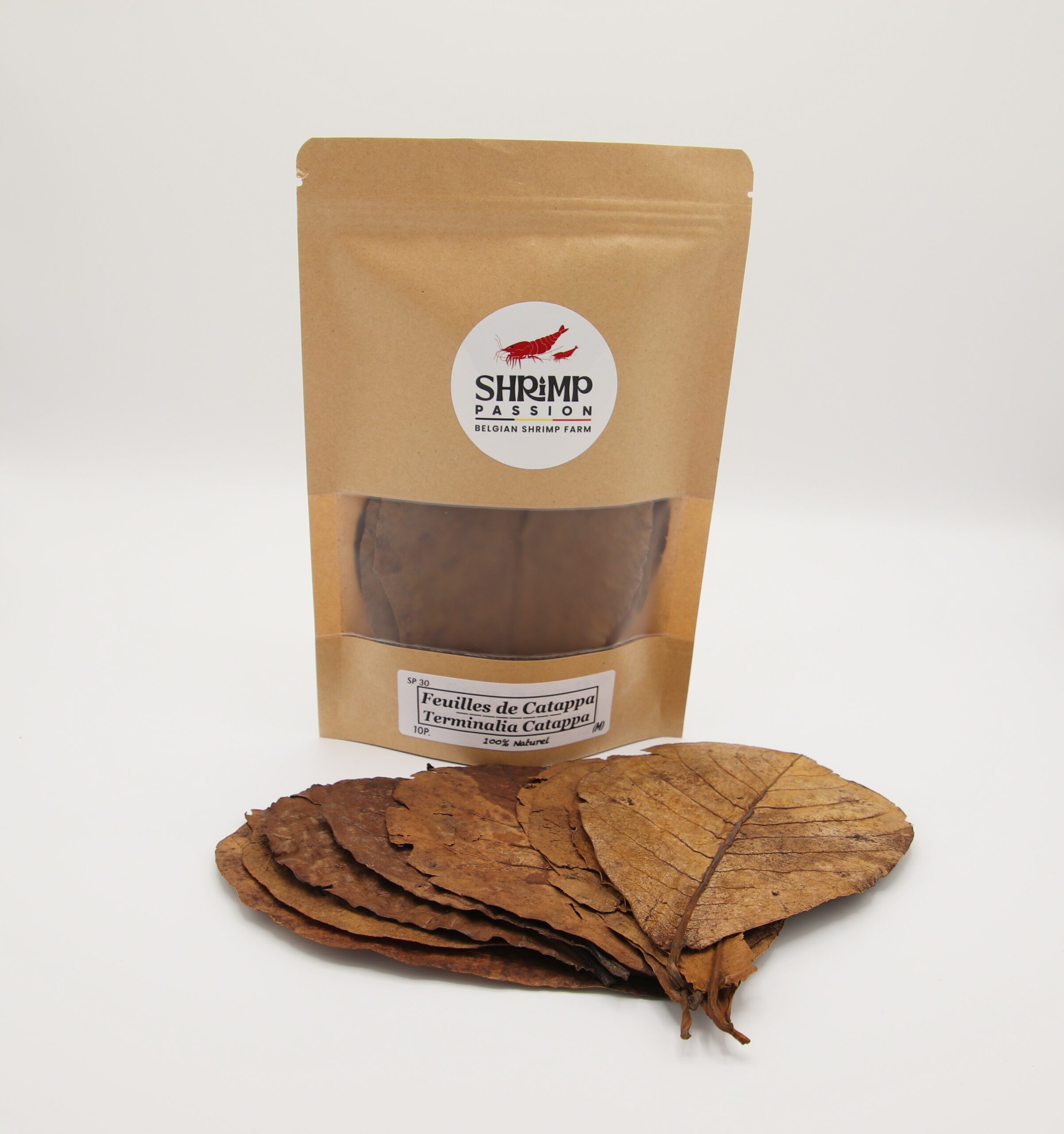 Feuilles de Catappa M/L 15-18cm (10p)