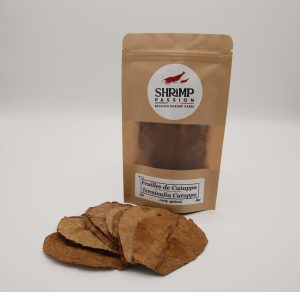 Feuilles de Catappa S  7/10cm (10p)