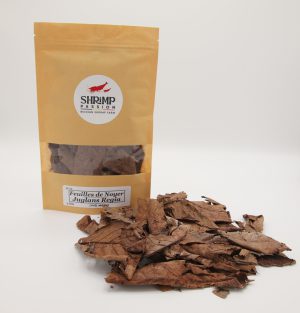 Feuilles de Noyer (10g)