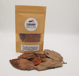Feuilles de Mangrove (10g)