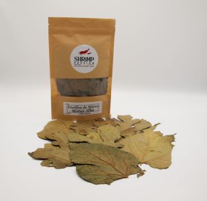 Feuilles de Mûres (10g)