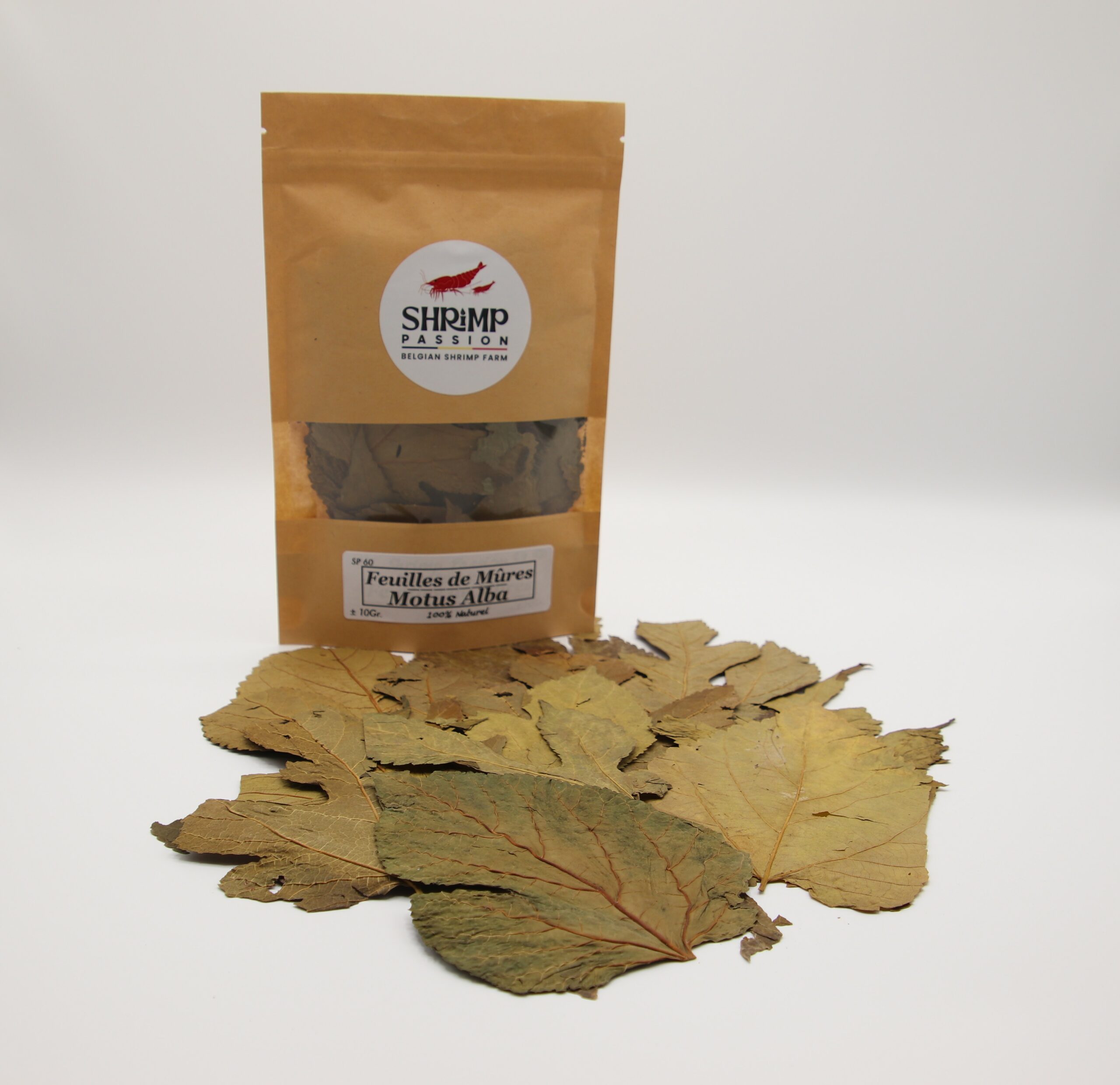 Feuilles de Mûres (10g)