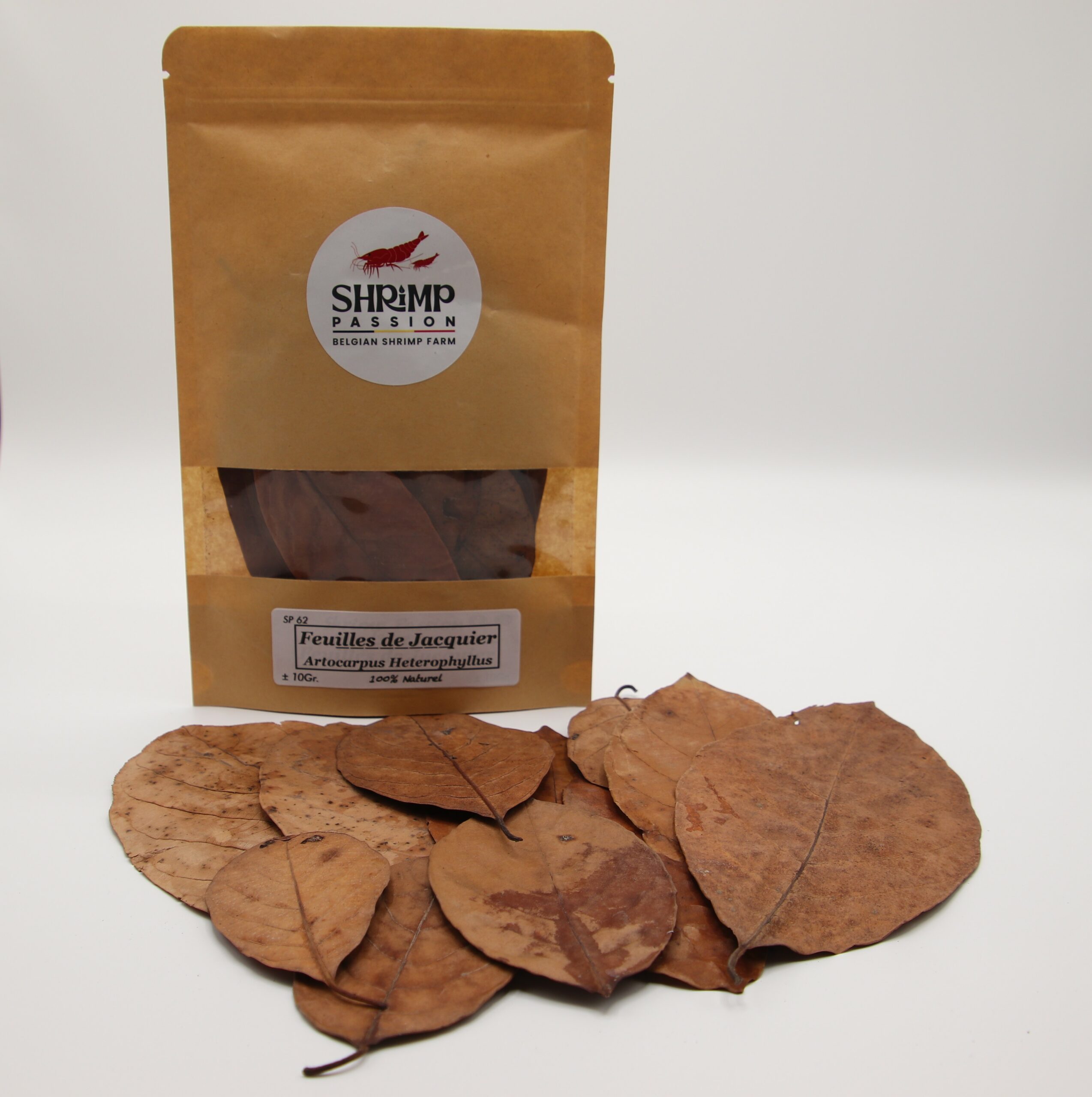 Feuilles de Jacquier (10g)