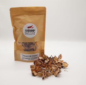 Cosses de Coton (25g)