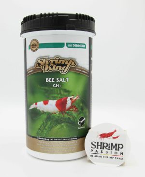 King Bee Sel GH+ (1000g) - DENNERLE