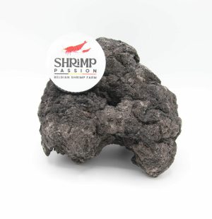 Black Lava - Pierre de Lave Noir (S-M/9-14CM)