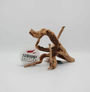 Bois Spider Wood XS 10-20cm - HS AQUA