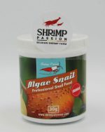 Escargot Algues Omnivore - Shrimps Forever