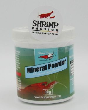 Montmorillonite - Shrimps Forever