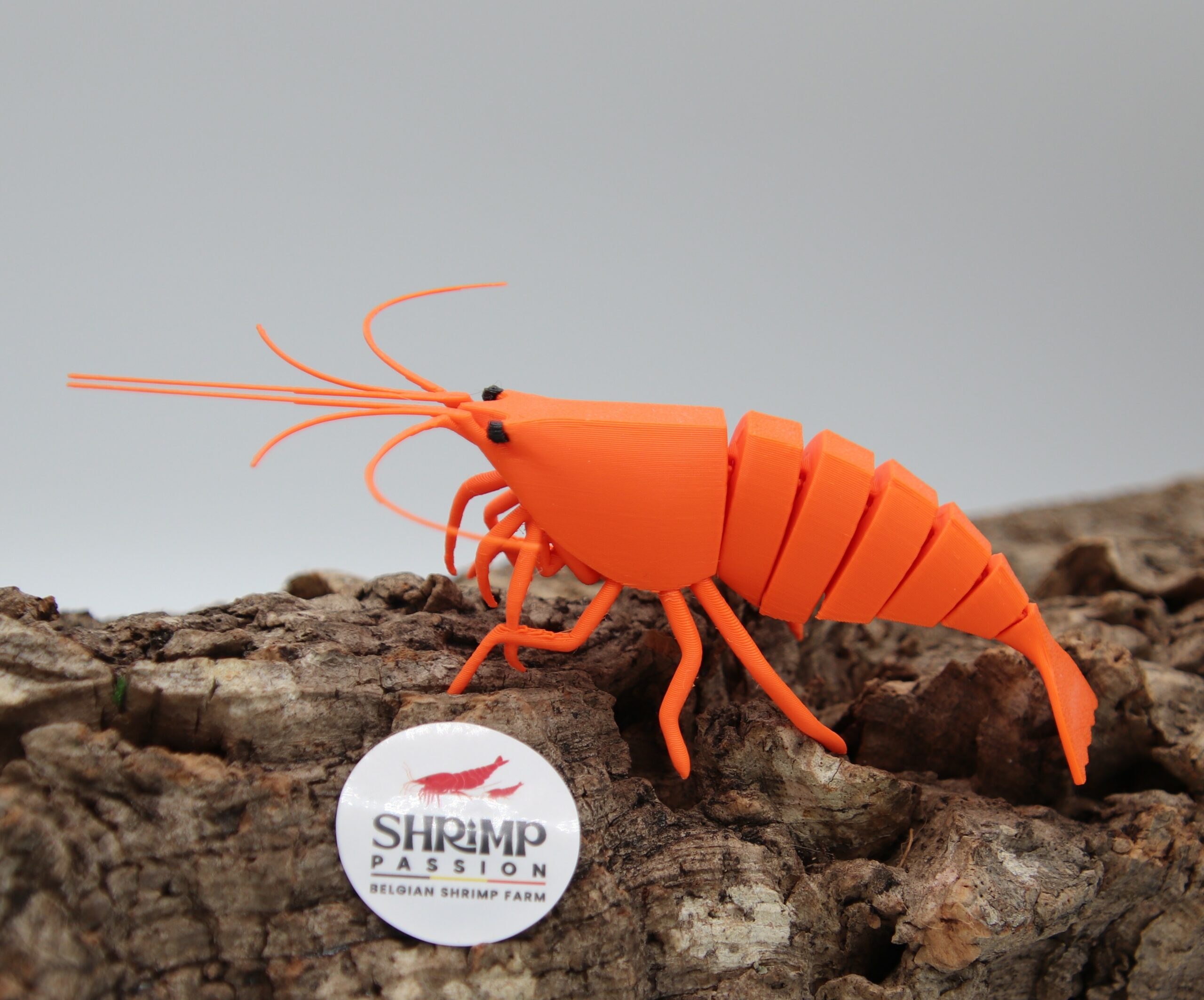 3D - Orange Sakura – Image 2