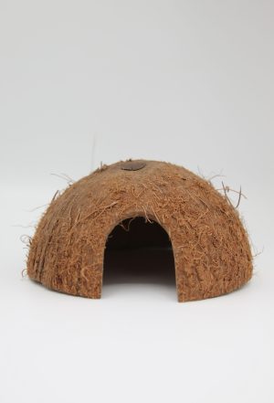 Demis Noix De Coco Avec Trou Latéral