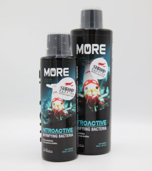 Bactéries Pour Caridina - SL-aqua