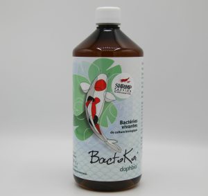 Bactokoï - Bactéries Pour Bassin 1000ml (Premium) - Daphbio