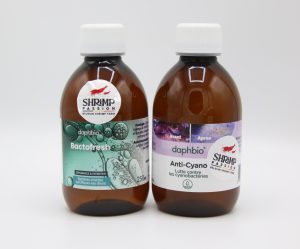 Kit Anti-Cyanobactéries / Anti- Algues (Premium) - Daphbio