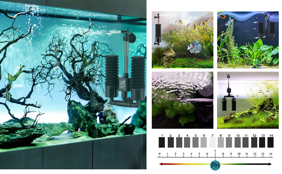 Filtre Double Éponge Électrique 3/5W - AQQA – Image 7