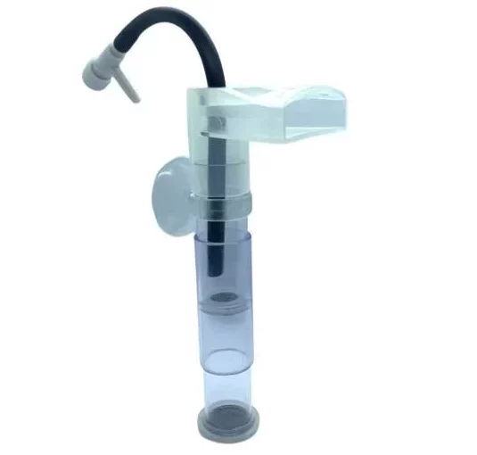 Éclosoire - Shrimps Affair