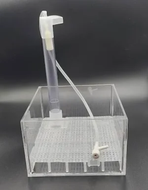 Kit UGF - Shrimps Affair